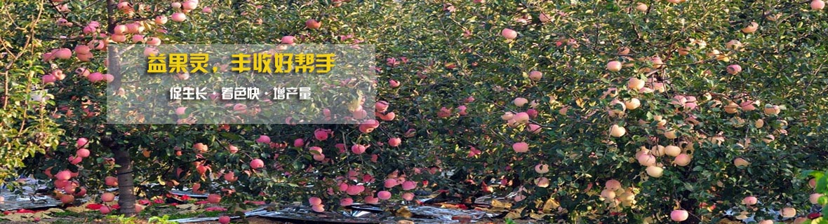 新聞動(dòng)態(tài) 新聞動(dòng)態(tài)